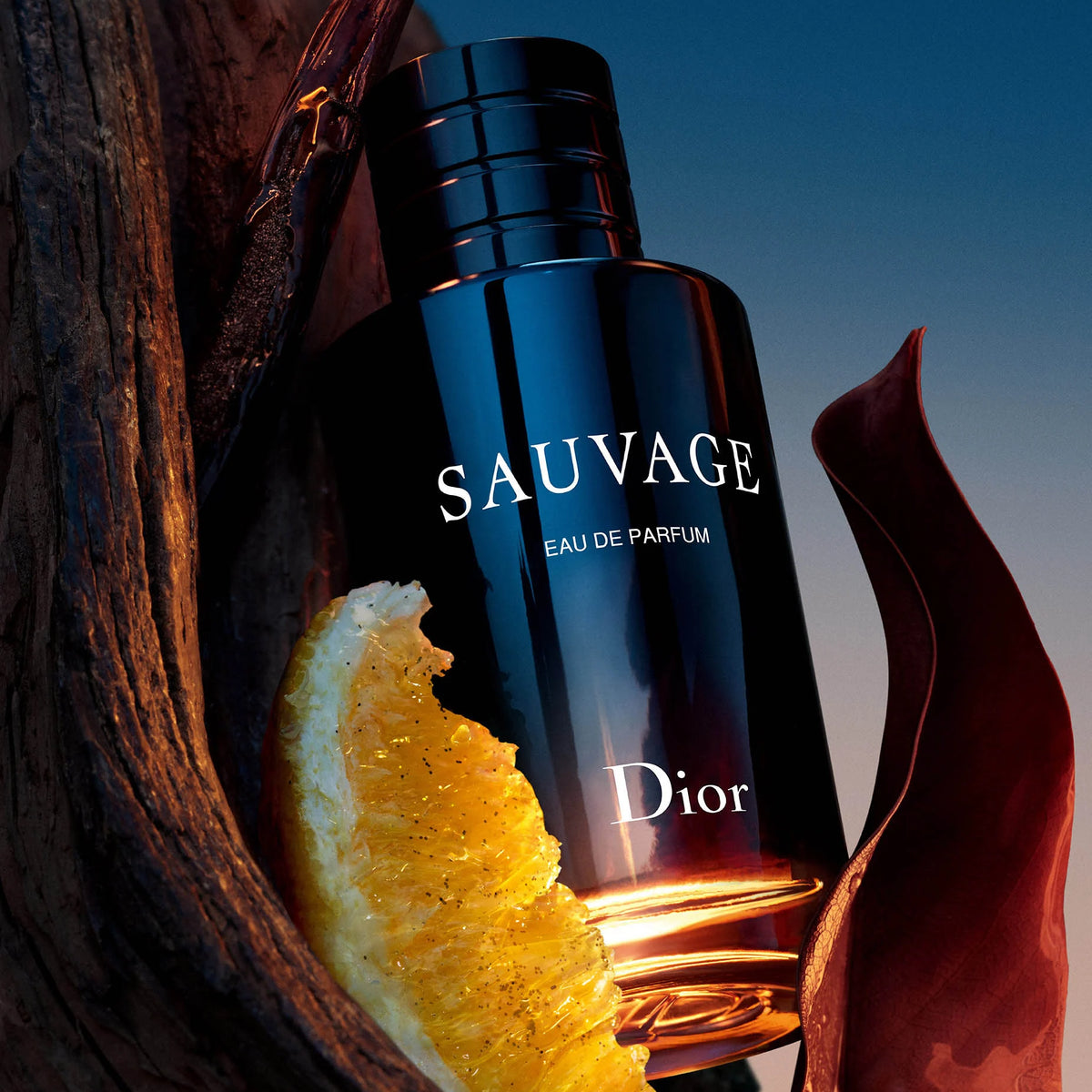 Dior Sauvage EDP | Vyrams, mėginukai 3, 5, 10 ml – Aromatale